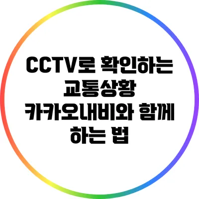 CCTV로 확인하는 교통상황: 카카오내비와 함께 하는 법