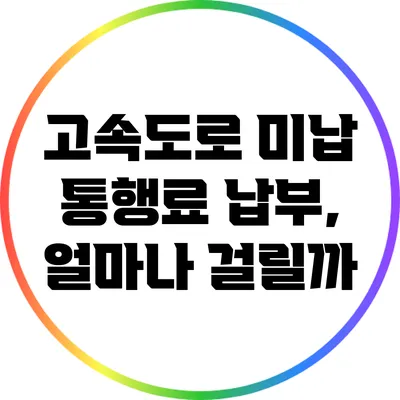 고속도로 미납 통행료 납부, 얼마나 걸릴까?