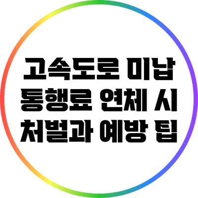 고속도로 미납 통행료 연체 시 처벌과 예방 팁