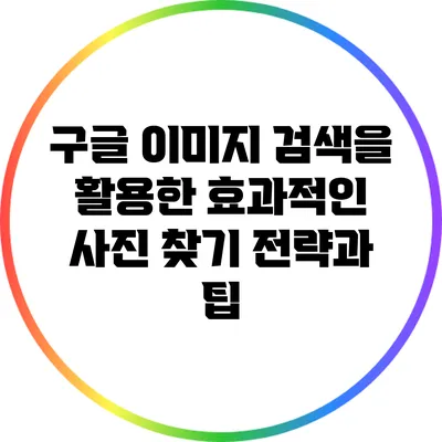 구글 이미지 검색을 활용한 효과적인 사진 찾기 전략과 팁