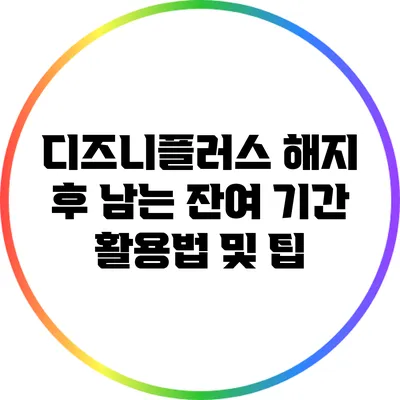 디즈니플러스 해지 후 남는 잔여 기간 활용법 및 팁