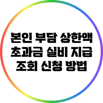 본인 부담 상한액 초과금 실비 지급 조회 신청 방법