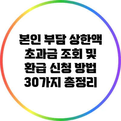 본인 부담 상한액 초과금 조회 및 환급 신청 방법 30가지 총정리