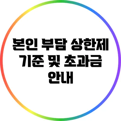 본인 부담 상한제 기준 및 초과금 안내