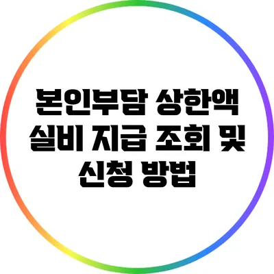 본인부담 상한액 실비 지급 조회 및 신청 방법