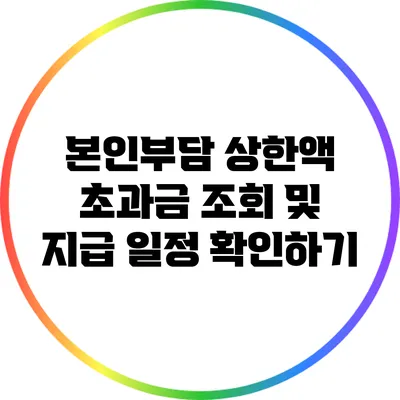 본인부담 상한액 초과금 조회 및 지급 일정 확인하기