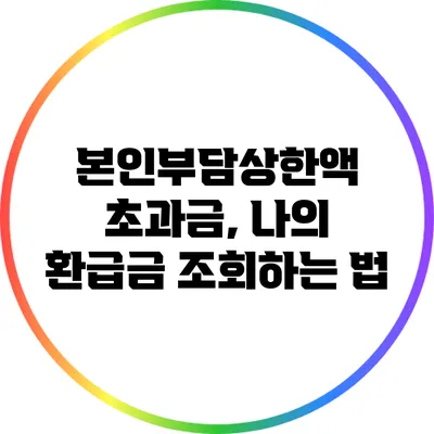 본인부담상한액 초과금, 나의 환급금 조회하는 법