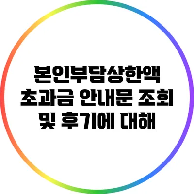 본인부담상한액 초과금 안내문 조회 및 후기에 대해