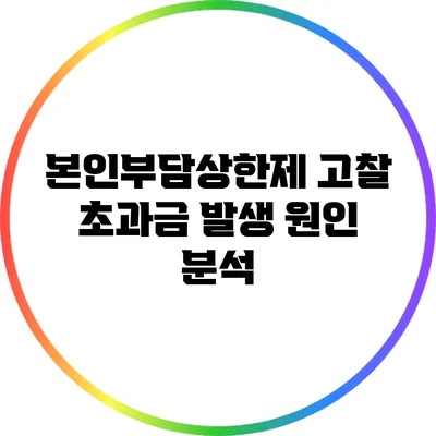 본인부담상한제 고찰: 초과금 발생 원인 분석