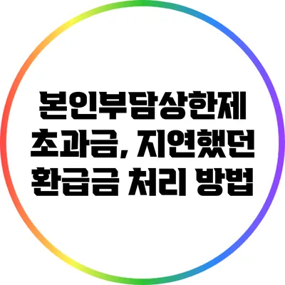 본인부담상한제 초과금, 지연했던 환급금 처리 방법
