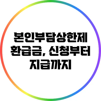 본인부담상한제 환급금, 신청부터 지급까지