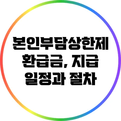 본인부담상한제 환급금, 지급 일정과 절차