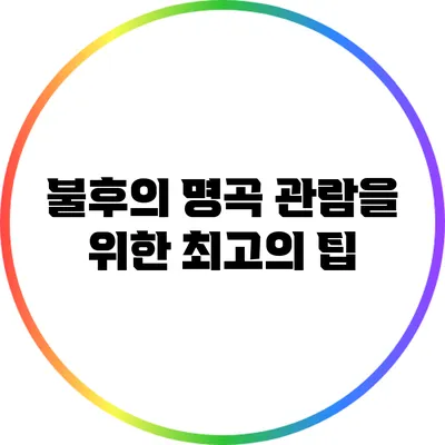 불후의 명곡 관람을 위한 최고의 팁