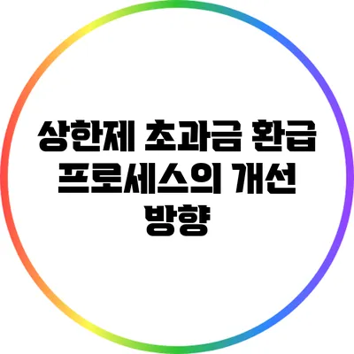 상한제 초과금 환급 프로세스의 개선 방향