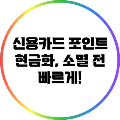 신용카드 포인트 현금화, 소멸 전 빠르게!
