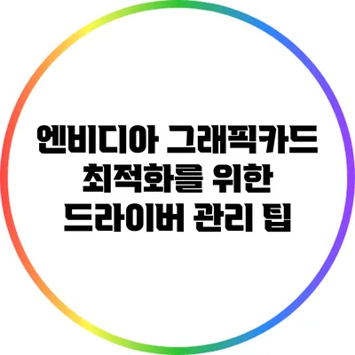 엔비디아 그래픽카드 최적화를 위한 드라이버 관리 팁