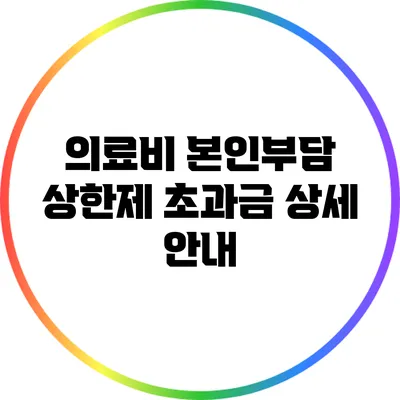 의료비 본인부담 상한제 초과금 상세 안내