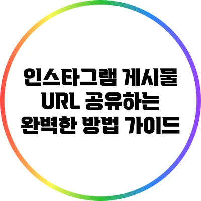 인스타그램 게시물 URL 공유하는 완벽한 방법 가이드