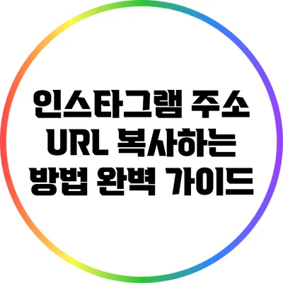 인스타그램 주소 URL 복사하는 방법 완벽 가이드