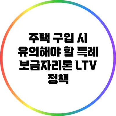 주택 구입 시 유의해야 할 특례 보금자리론 LTV 정책