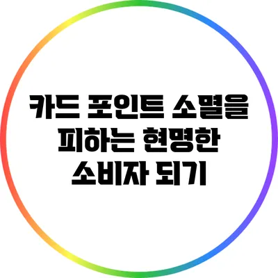 카드 포인트 소멸을 피하는 현명한 소비자 되기