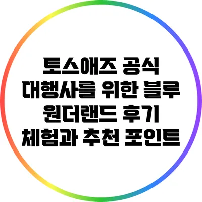 토스애즈 공식 대행사를 위한 블루 원더랜드 후기: 체험과 추천 포인트