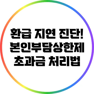 환급 지연 진단! 본인부담상한제 초과금 처리법