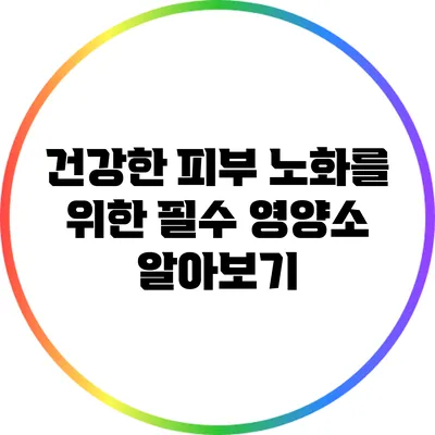 건강한 피부 노화를 위한 필수 영양소 알아보기