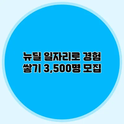 뉴딜 일자리로 경험 쌓기 3,500명 모집