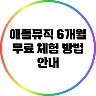 애플뮤직 6개월 무료 체험 방법 안내
