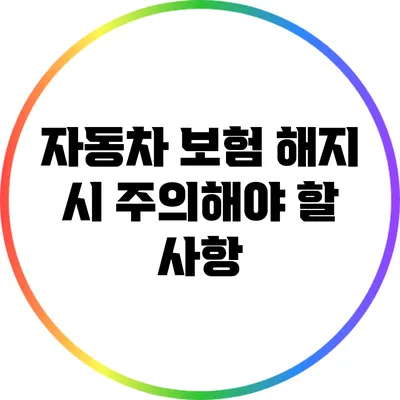자동차 보험 해지 시 주의해야 할 사항