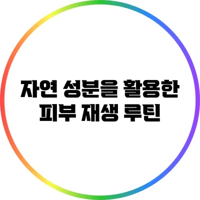 자연 성분을 활용한 피부 재생 루틴
