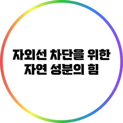 자외선 차단을 위한 자연 성분의 힘