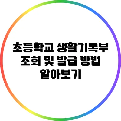 초등학교 생활기록부 조회 및 발급 방법 알아보기