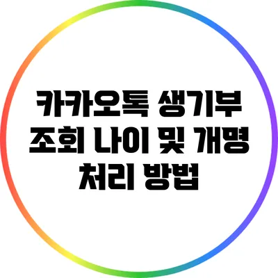 카카오톡 생기부 조회: 나이 및 개명 처리 방법