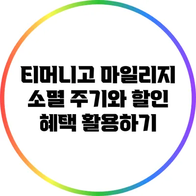 티머니고 마일리지 소멸 주기와 할인 혜택 활용하기