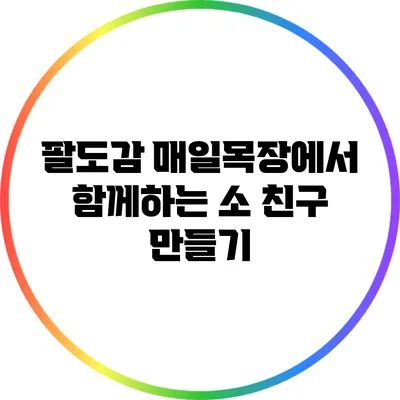 팔도감 매일목장에서 함께하는 소 친구 만들기