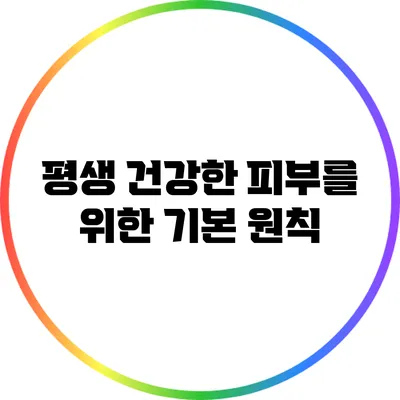 평생 건강한 피부를 위한 기본 원칙