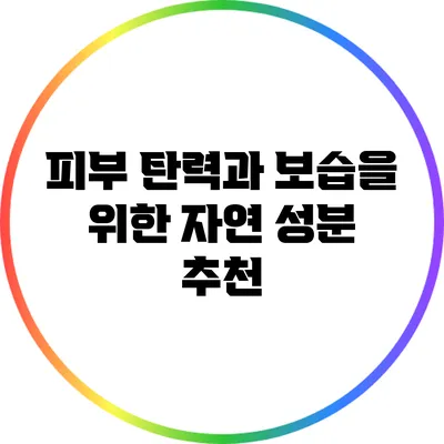 피부 탄력과 보습을 위한 자연 성분 추천