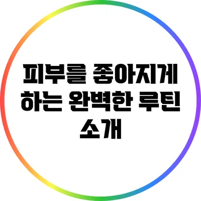피부를 좋아지게 하는 완벽한 루틴 소개