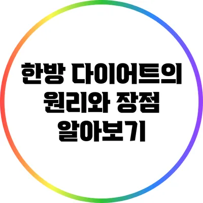 한방 다이어트의 원리와 장점 알아보기