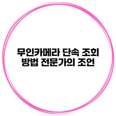 무인카메라 단속 조회 방법 전문가의 조언