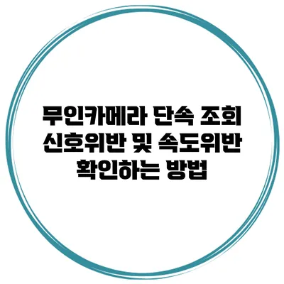 무인카메라 단속 조회 신호위반 및 속도위반 확인하는 방법