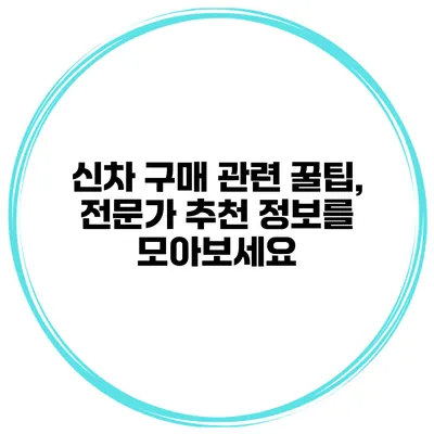 신차 구매 관련 꿀팁, 전문가 추천 정보를 모아보세요
