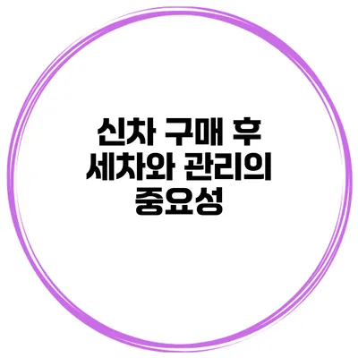 신차 구매 후 세차와 관리의 중요성