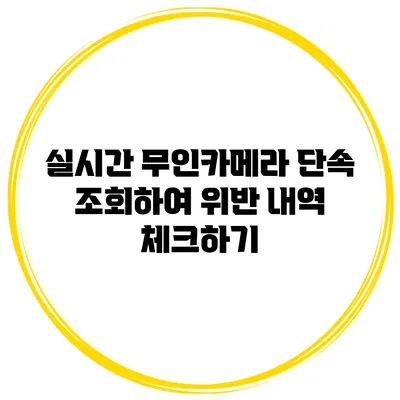 실시간 무인카메라 단속 조회하여 위반 내역 체크하기