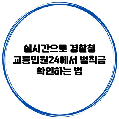 실시간으로 경찰청 교통민원24에서 범칙금 확인하는 법