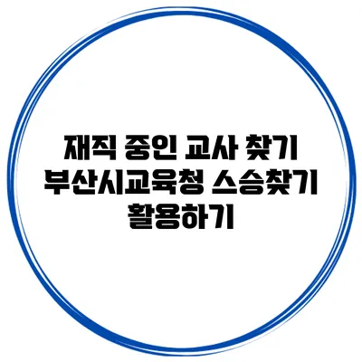 재직 중인 교사 찾기 부산시교육청 스승찾기 활용하기