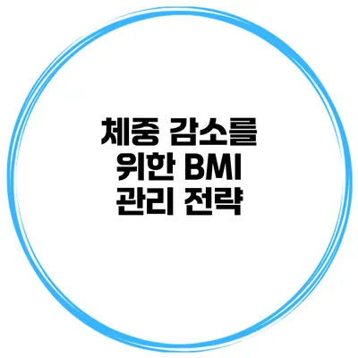 체중 감소를 위한 BMI 관리 전략