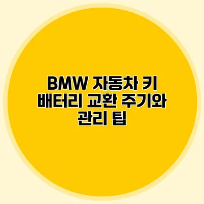 BMW 자동차 키 배터리 교환 주기와 관리 팁